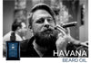 Mister Pompadour - Havana Beard Oil, 1 oz (Organic)